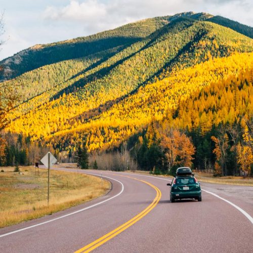 A car driving on a road with fall colors in the trees