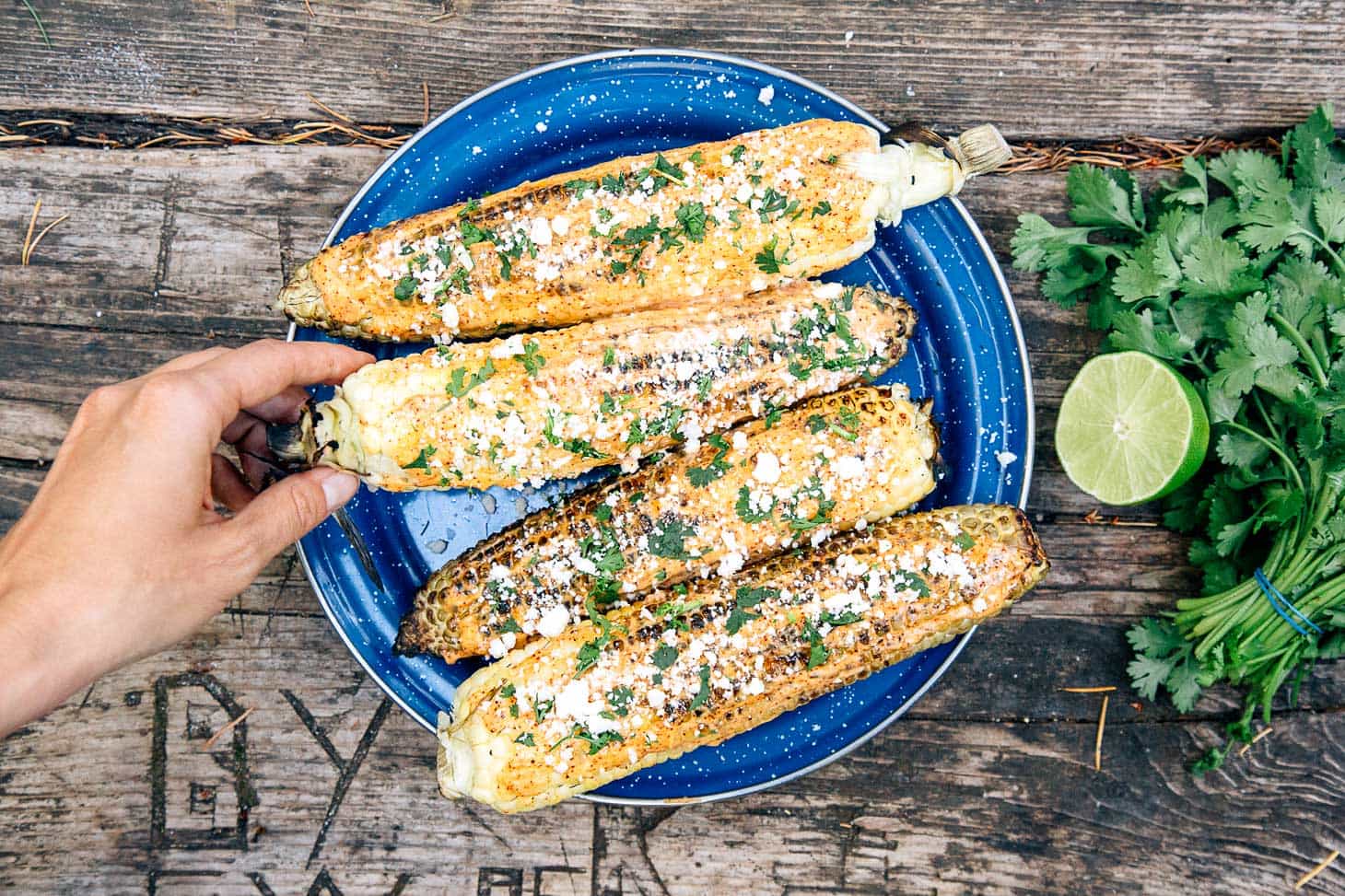 Four Elotes - grilled Mexican street corn - on a blue camping plate. A hand is reaching in to pick one up.